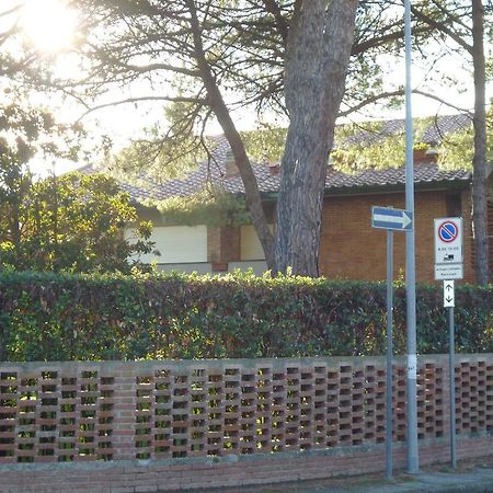 Il Geranio Vila Tirrenia Exterior foto