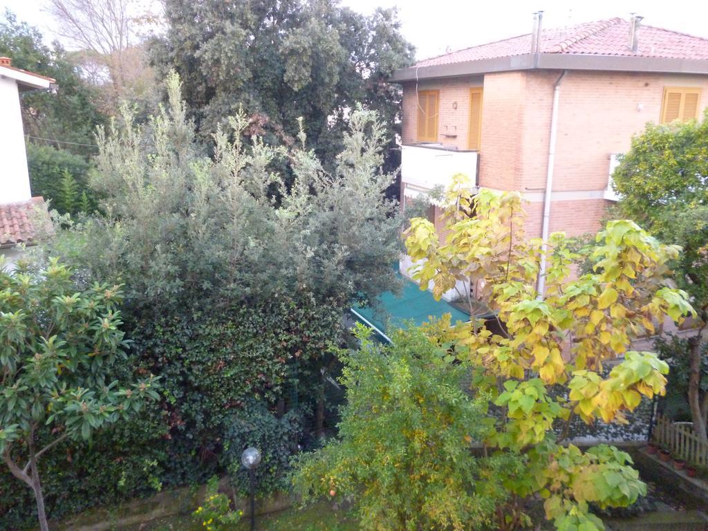 Il Geranio Vila Tirrenia Exterior foto