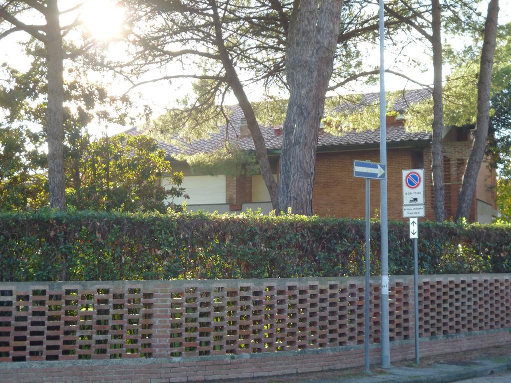Il Geranio Vila Tirrenia Exterior foto