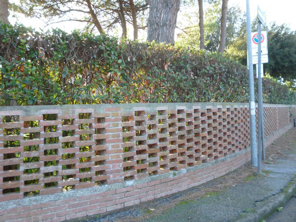 Il Geranio Vila Tirrenia Exterior foto